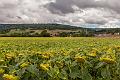 2017_08_10_Auvergne (0091)